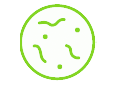 oncology_icon Petri Dish Vector Icon